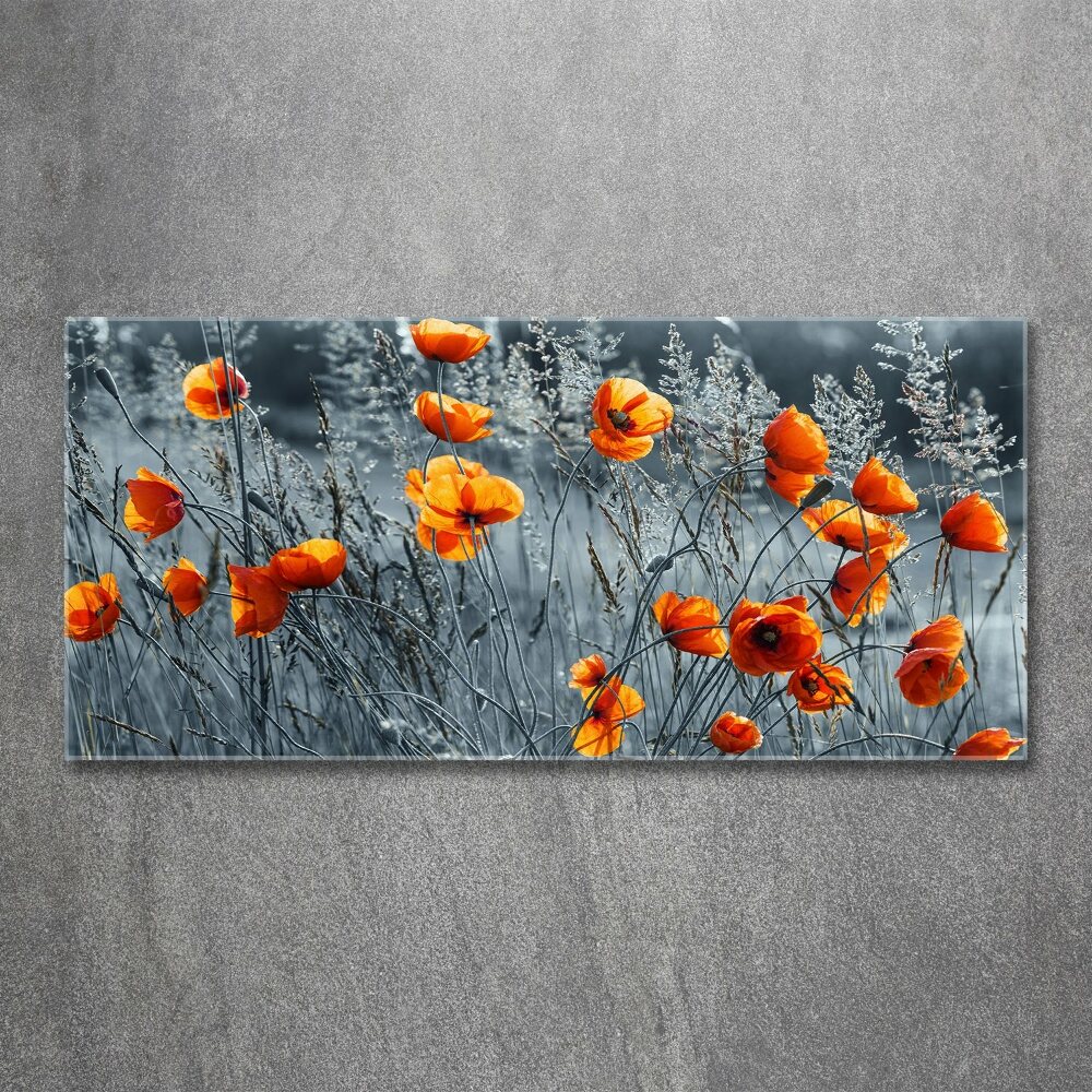 Print on acrylic Field poppy seed