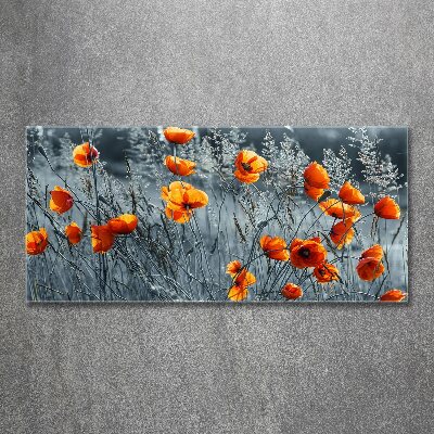 Print on acrylic Field poppy seed