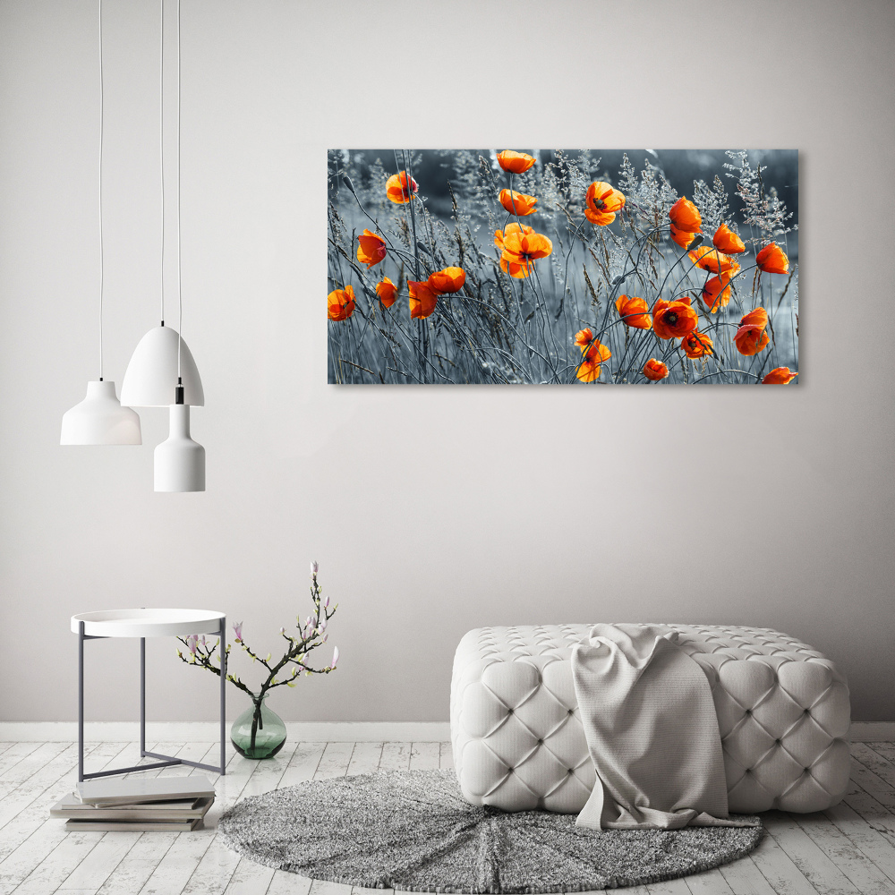 Print on acrylic Field poppy seed