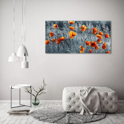 Print on acrylic Field poppy seed