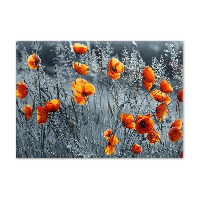 Print on acrylic Field poppy seed