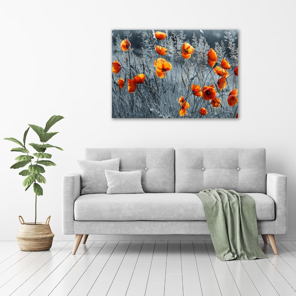 Print on acrylic Field poppy seed