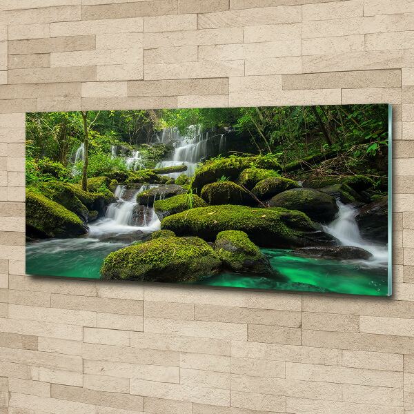 Wall art acrylic Waterfall in the forest