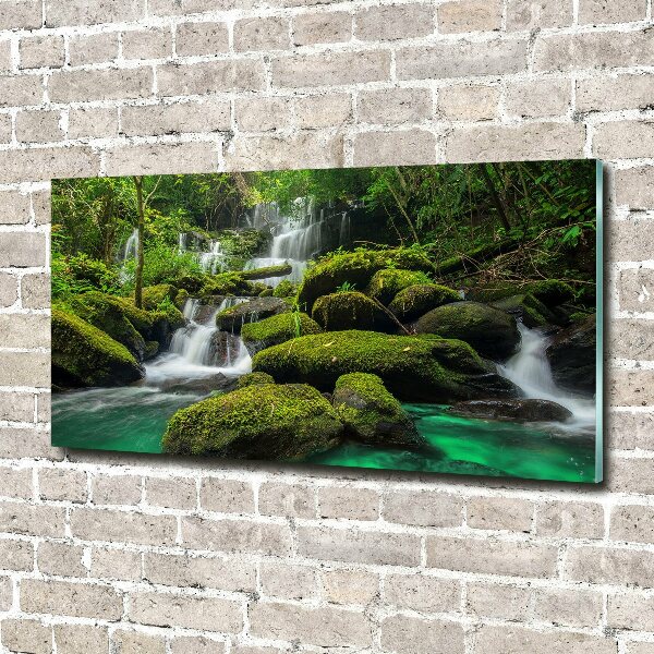 Wall art acrylic Waterfall in the forest