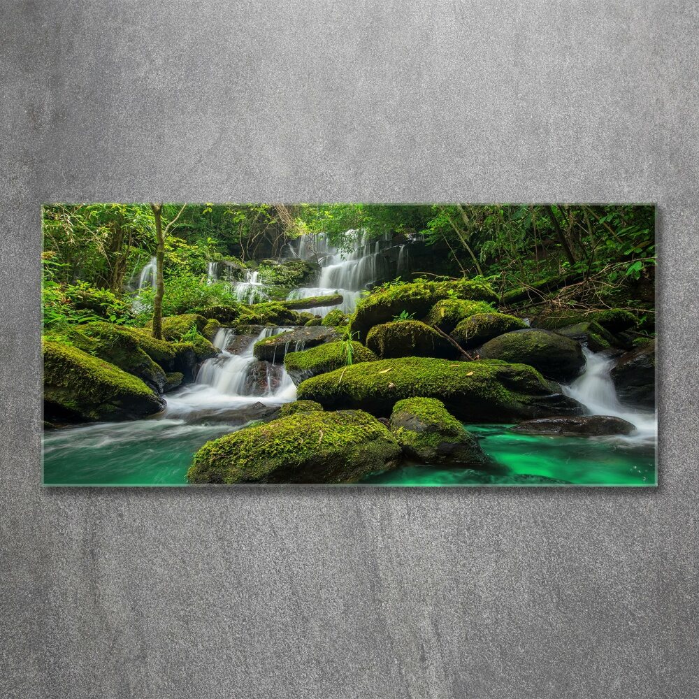 Wall art acrylic Waterfall in the forest