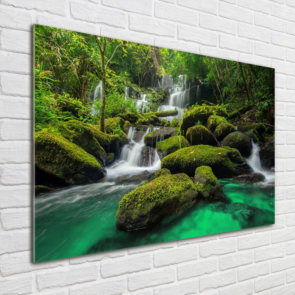 Wall art acrylic Waterfall in the forest