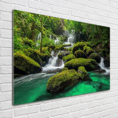 Wall art acrylic Waterfall in the forest