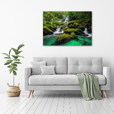 Wall art acrylic Waterfall in the forest