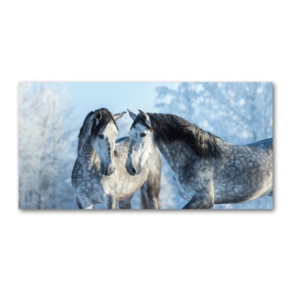 Print on acrylic Gray horses in winter