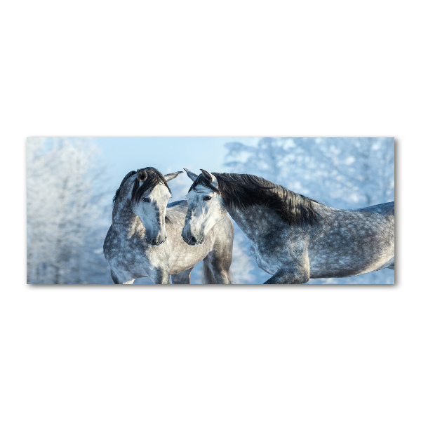 Print on acrylic Gray horses in winter