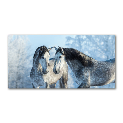 Print on acrylic Gray horses in winter