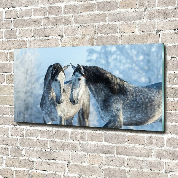 Print on acrylic Gray horses in winter