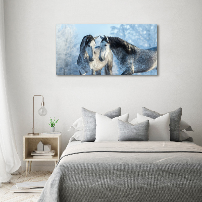 Print on acrylic Gray horses in winter