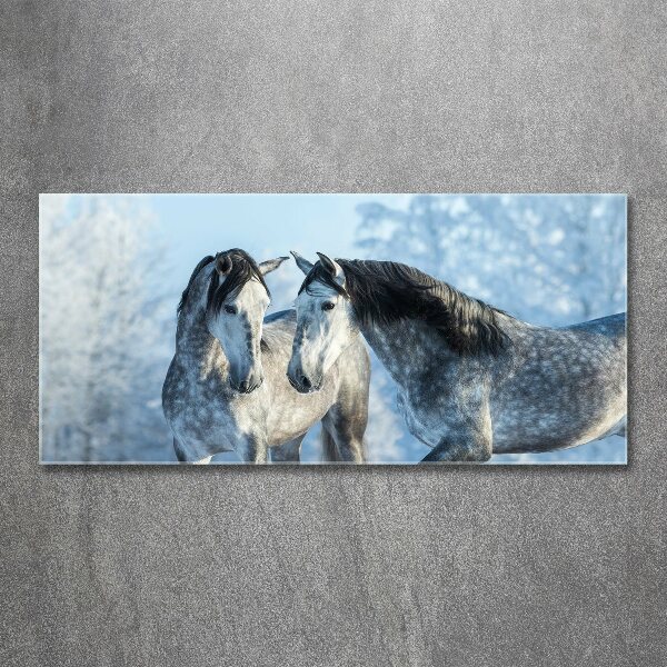 Print on acrylic Gray horses in winter