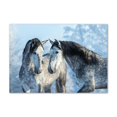 Print on acrylic Gray horses in winter