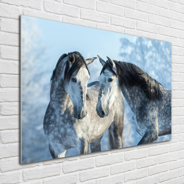 Print on acrylic Gray horses in winter