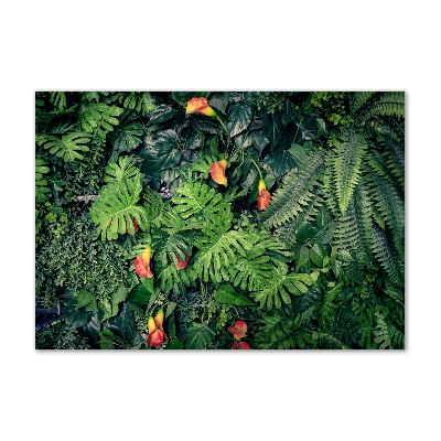 Print on acrylic Exotic jungle