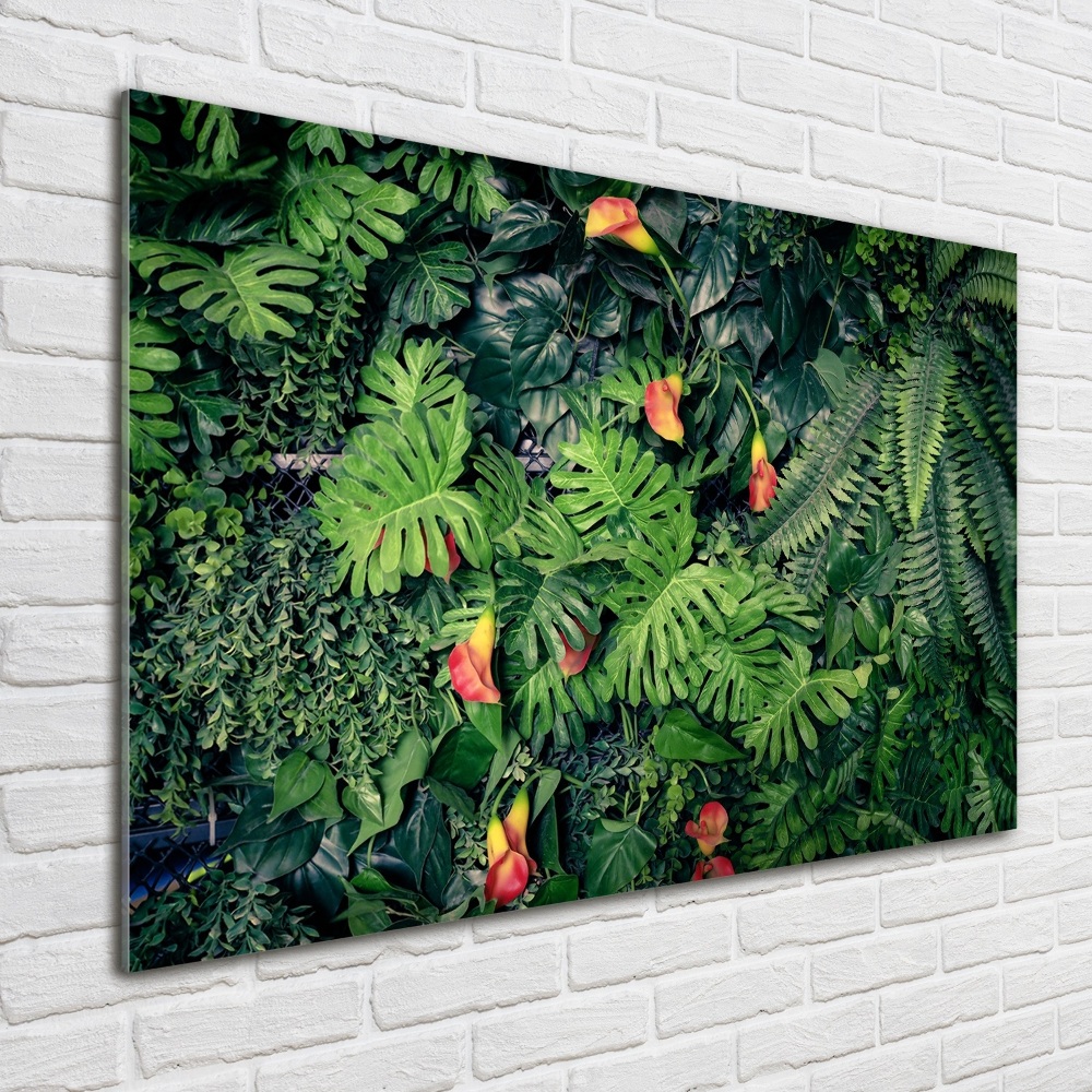 Print on acrylic Exotic jungle