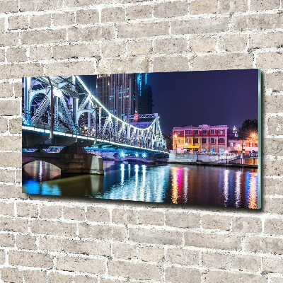 Acrylic print Shanghai Bridge