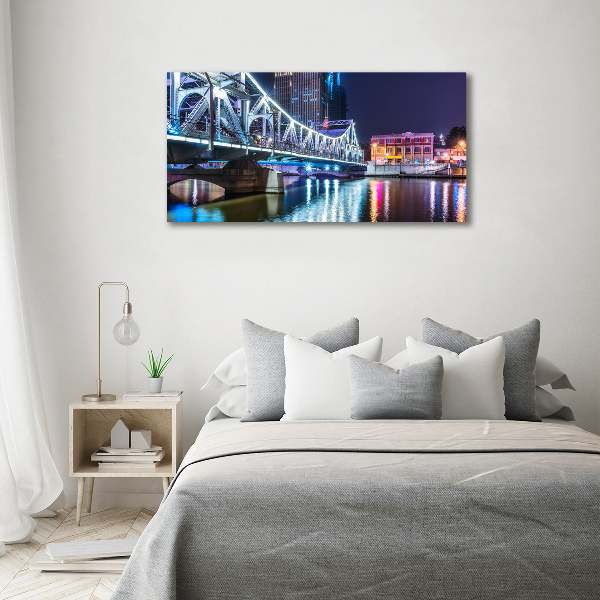 Acrylic print Shanghai Bridge