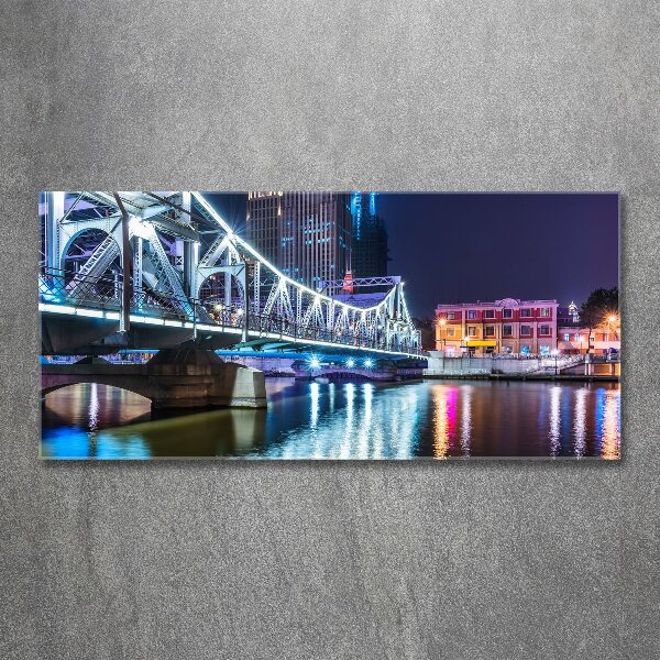 Acrylic print Shanghai Bridge