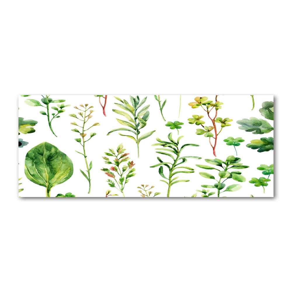 Print on acrylic Herbs and weeds