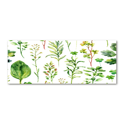 Print on acrylic Herbs and weeds