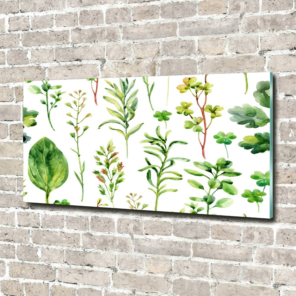 Print on acrylic Herbs and weeds