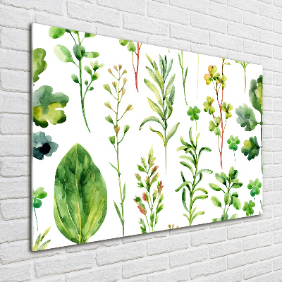 Print on acrylic Herbs and weeds