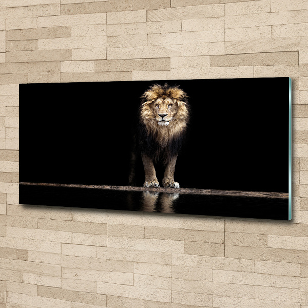 Acrylic wall art Portrait of a lion