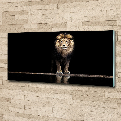 Acrylic wall art Portrait of a lion