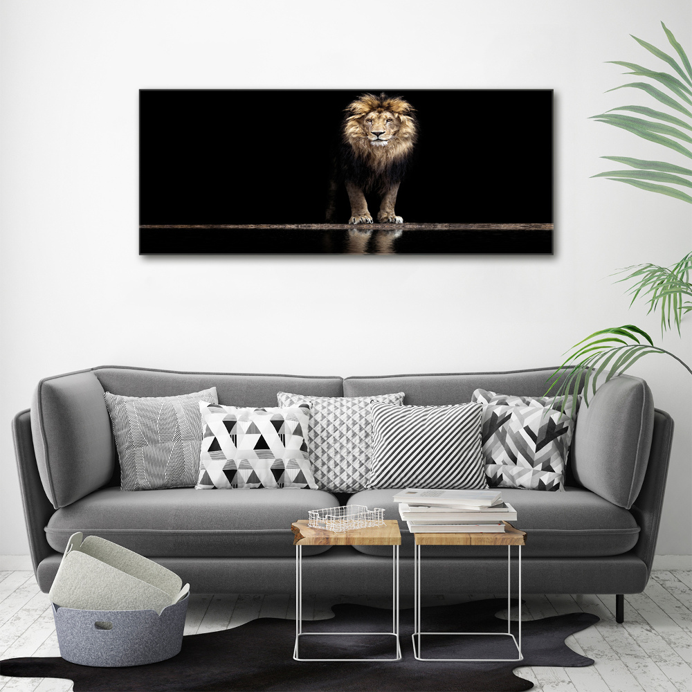 Acrylic wall art Portrait of a lion