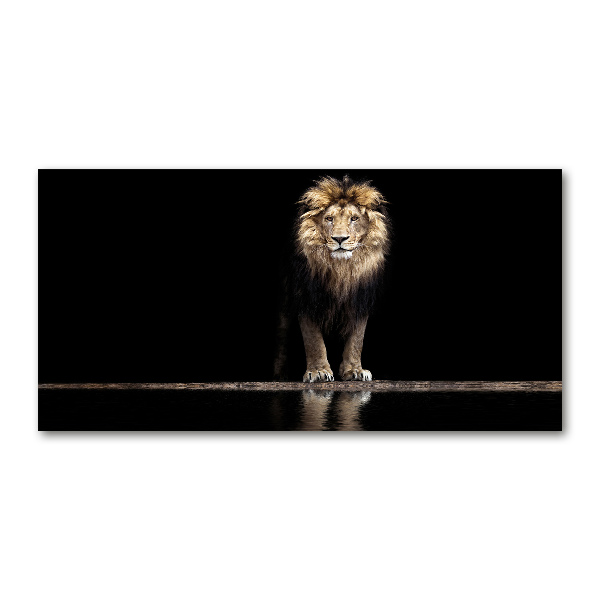 Acrylic wall art Portrait of a lion