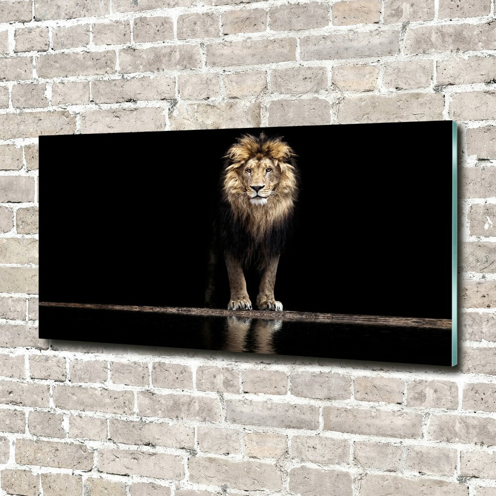 Acrylic wall art Portrait of a lion