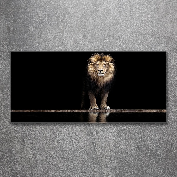 Acrylic wall art Portrait of a lion