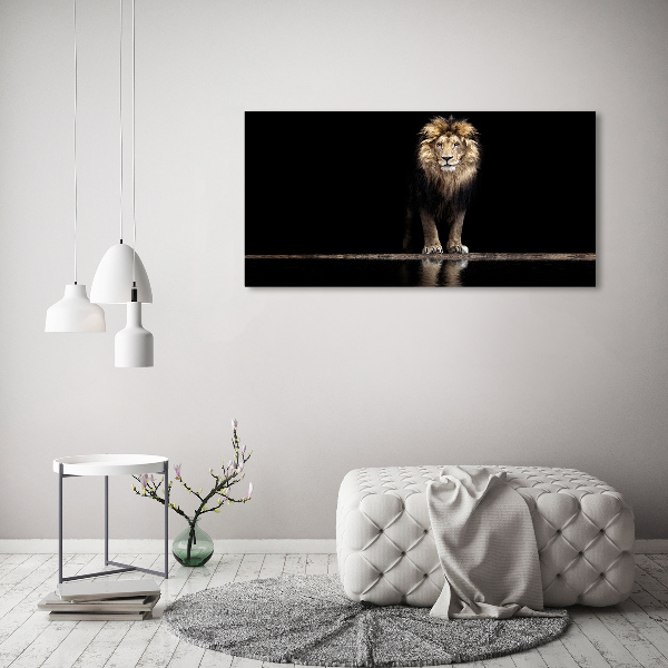 Acrylic wall art Portrait of a lion