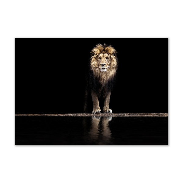 Acrylic wall art Portrait of a lion