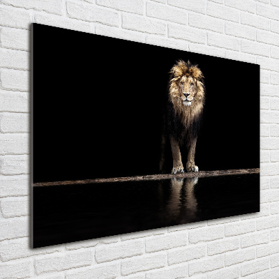 Acrylic wall art Portrait of a lion