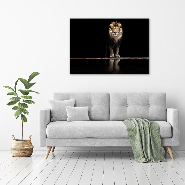 Acrylic wall art Portrait of a lion