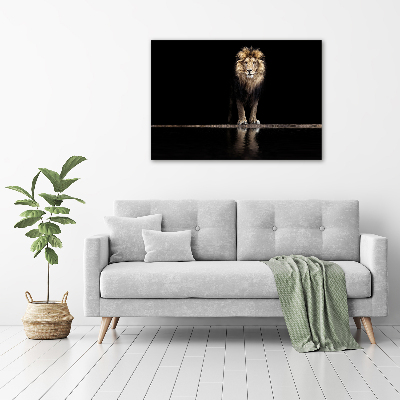 Acrylic wall art Portrait of a lion