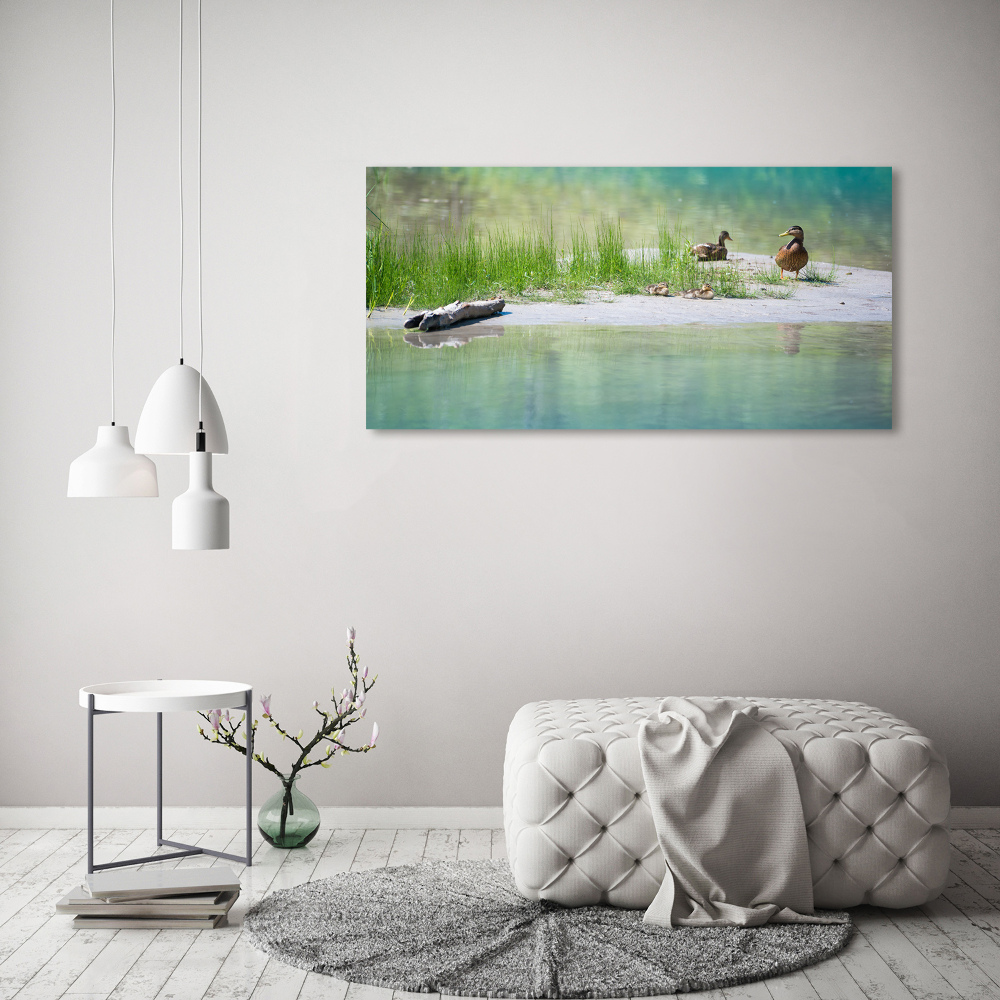 Acrylic wall art Ducks by the water