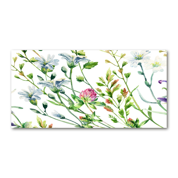 Print on acrylic Wild flowers