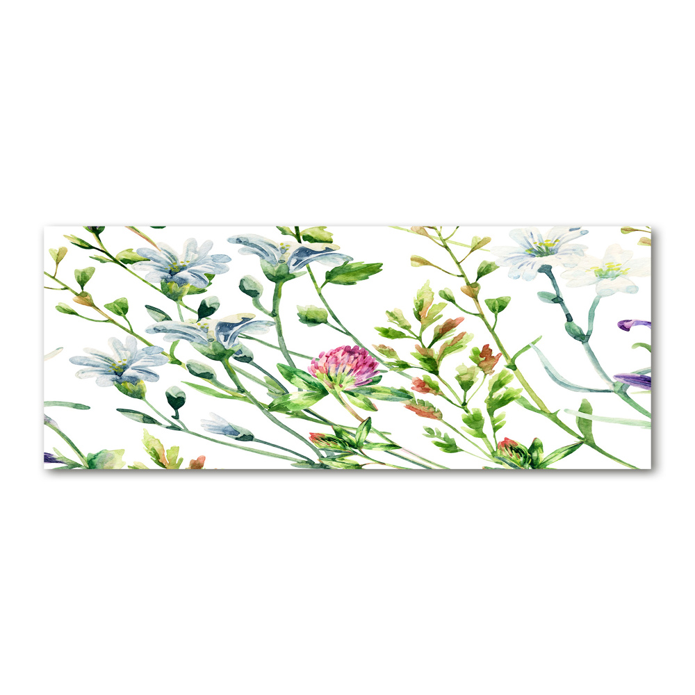 Print on acrylic Wild flowers