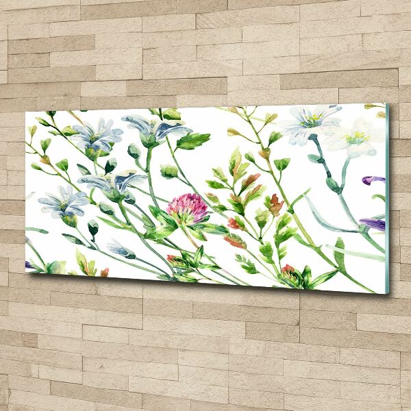 Print on acrylic Wild flowers