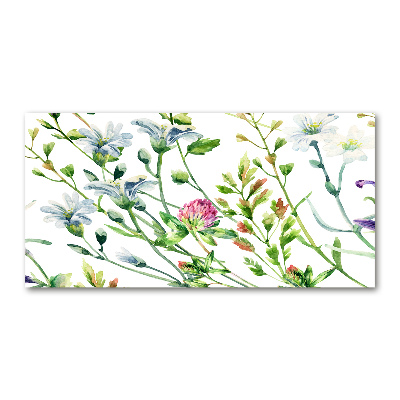 Print on acrylic Wild flowers