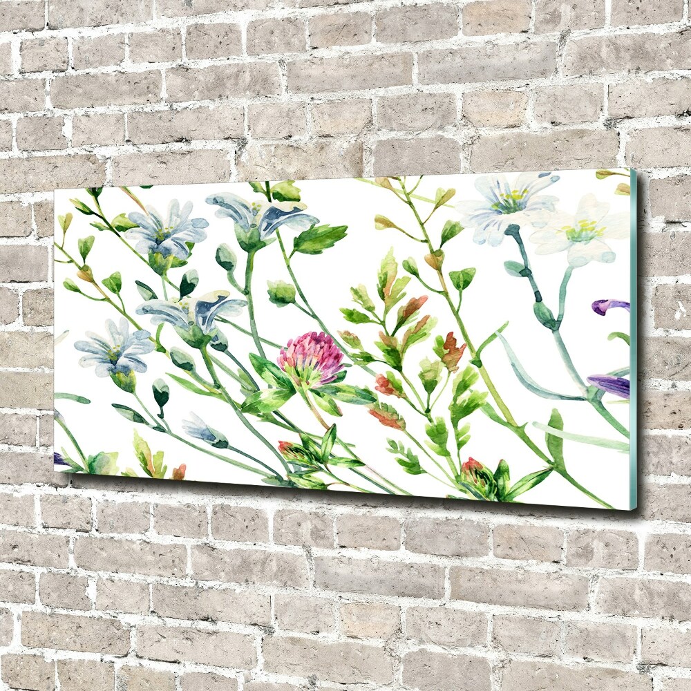 Print on acrylic Wild flowers