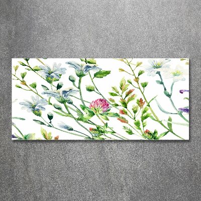 Print on acrylic Wild flowers