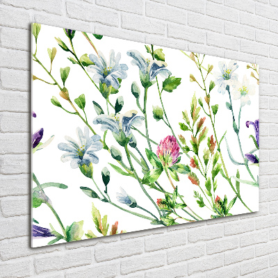 Print on acrylic Wild flowers