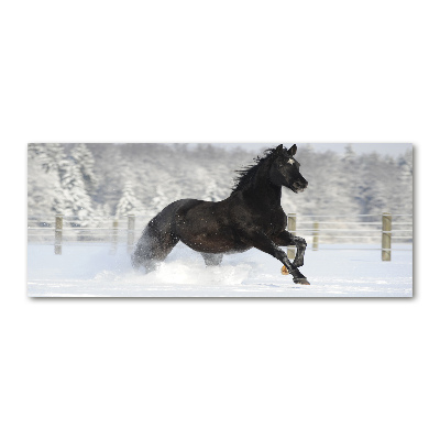 Acrylic wall art Snow horse at the gallop