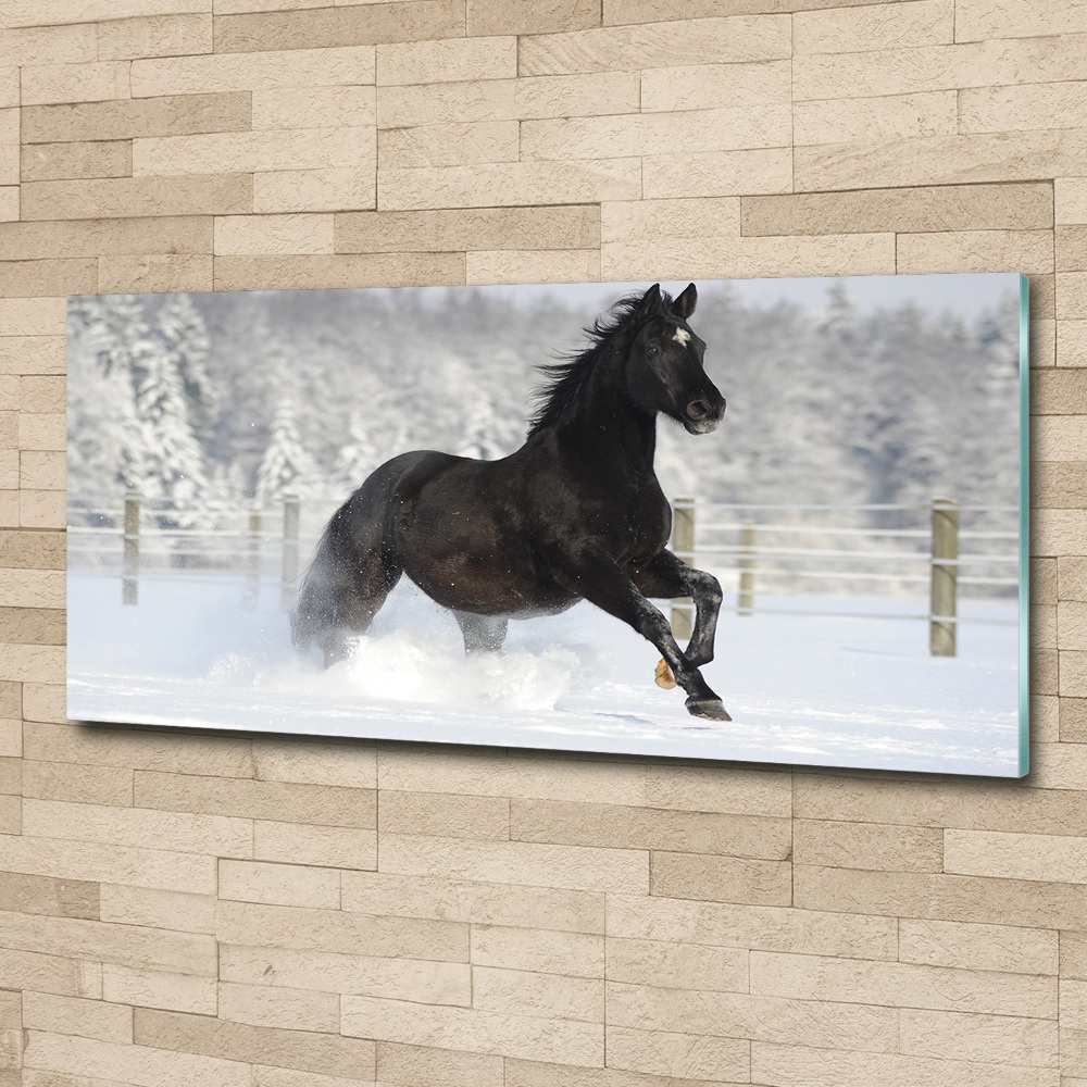 Acrylic wall art Snow horse at the gallop